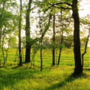 ЖК Городние Горки